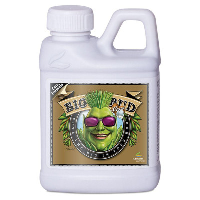 Стимулятор цвітіння для кокосового грунту Advanced Nutrients BIG BUD COCO (250ml)