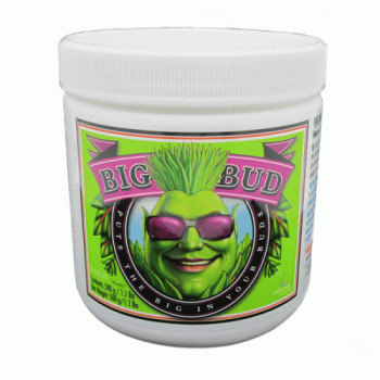 Big Bud Powder (130g)