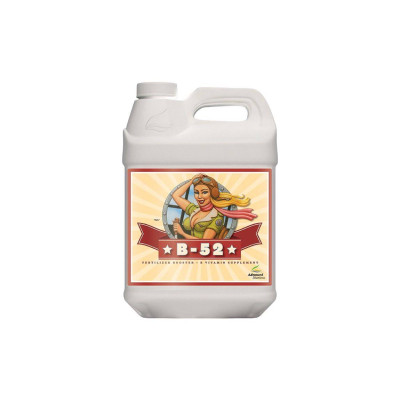 Advanced Nutrients B-52 (10L)