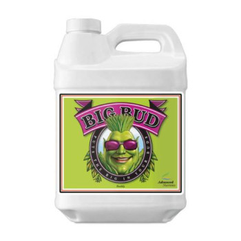 Advanced Nutrients Big Bud (10L)